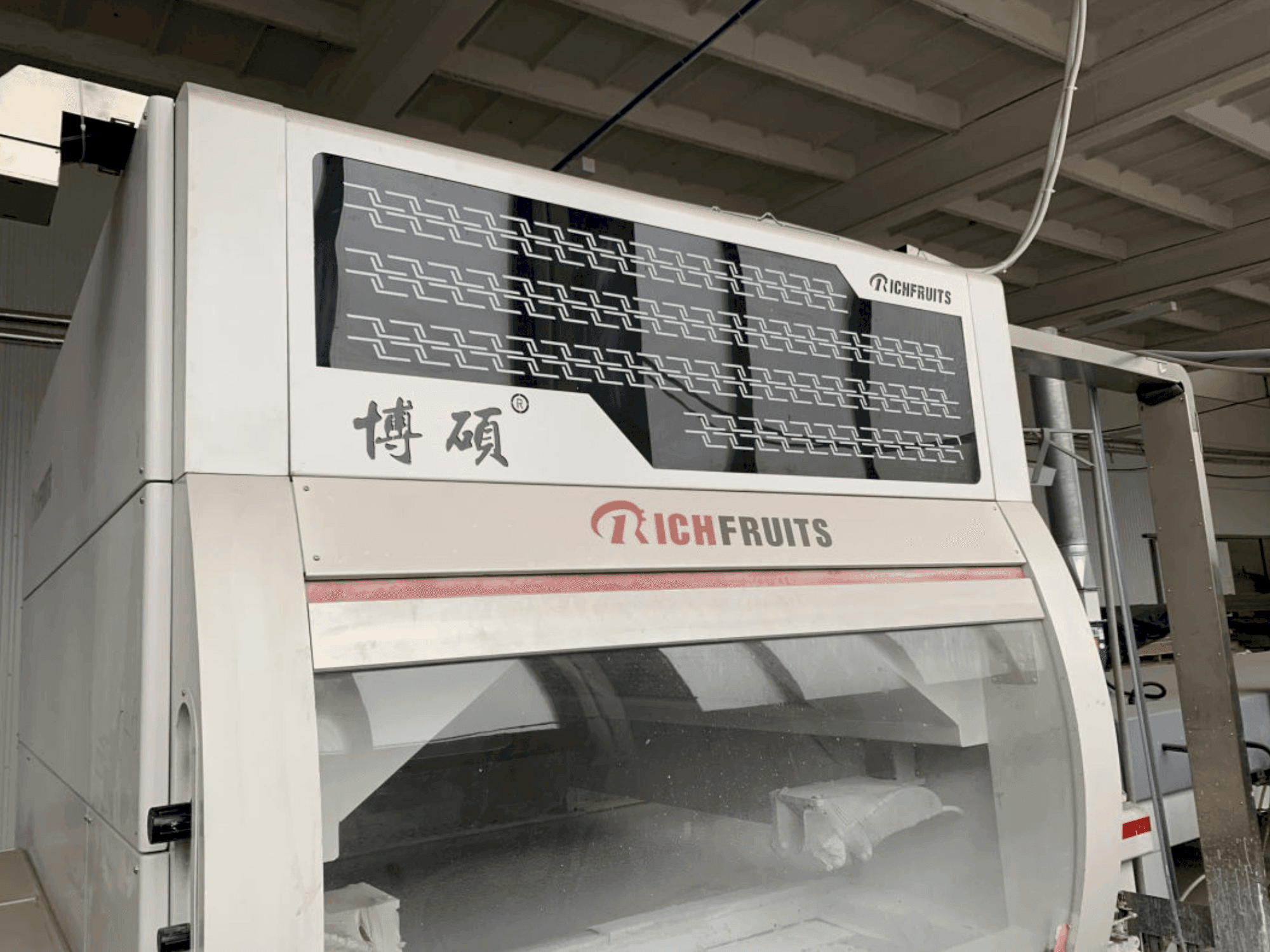 Vista frontale della macchina GIARDINA RICHFRUITS / NEOMEC / KREMLIN Painting Line